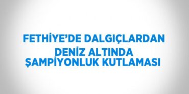 23423204882250422011tasarimli