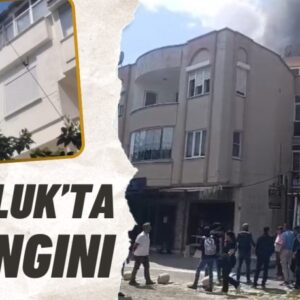 23432280662071528254