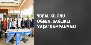 23433262472943923660