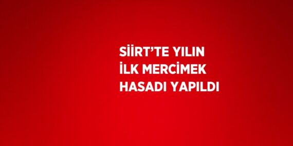 SİİRT’TE YILIN İLK MERCİMEK HASADI YAPILDI