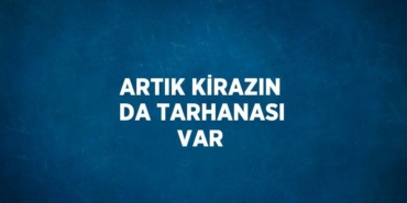 23441244742138628726tasarimli