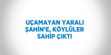 23448275962574929169tasarimli