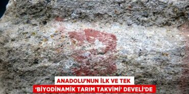 23453244463167821984tasarimli