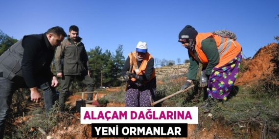 ALAÇAM DAĞLARINA YENİ ORMANLAR