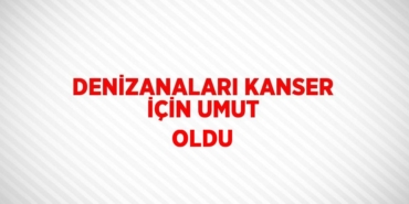 23461207172591330660tasarimli