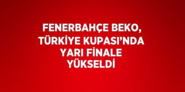 23463231513058924617tasarimli