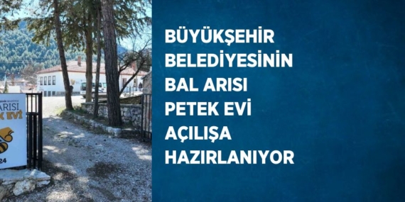 BÜYÜKŞEHİR BELEDİYESİNİN BAL ARISI PETEK EVİ AÇILIŞA HAZIRLANIYOR