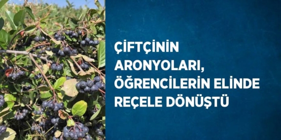 ÇİFTÇİNİN ARONYOLARI, ÖĞRENCİLERİN ELİNDE REÇELE DÖNÜŞTÜ