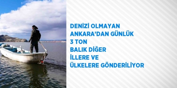 DENİZİ OLMAYAN ANKARA’DAN GÜNLÜK 3 TON BALIK DİĞER İLLERE VE ÜLKELERE GÖNDERİLİYOR