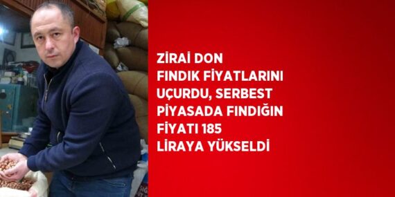 ZİRAİ DON FINDIK FİYATLARINI UÇURDU, SERBEST PİYASADA FINDIĞIN FİYATI 185 LİRAYA YÜKSELDİ