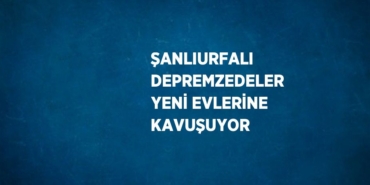 23482286782211622381