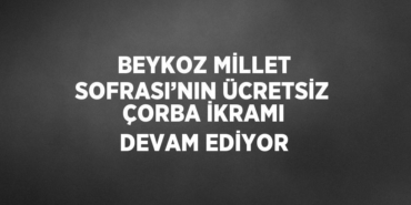 23484279782651129071tasarimli