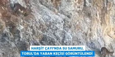 23498204552326628930tasarimli