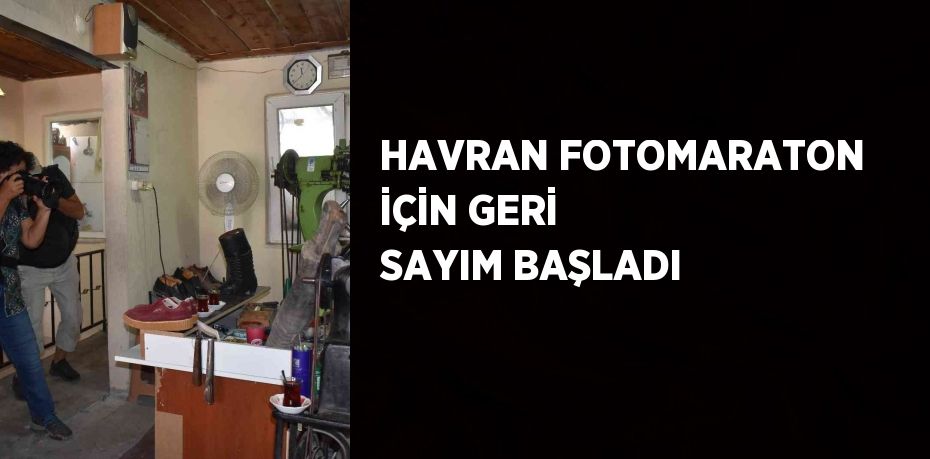 23499319052292621992