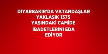 23501254282457629574tasarimli