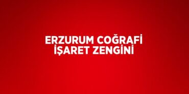 23502240572592827134tasarimli