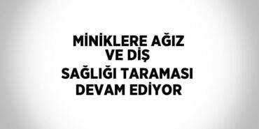 23502262012621424173tasarimli