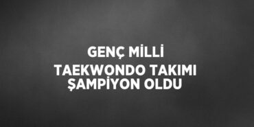 23519263662168625231tasarimli