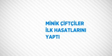 23531239222237928981