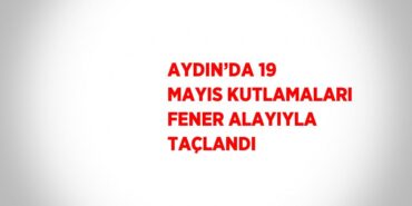 23532260562739120977