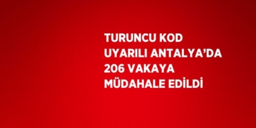 23533201023191328561