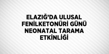 23535302242167524595tasarimli