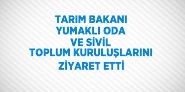 23536212852658523377tasarimli