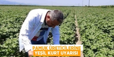 23546317962523421952tasarimli