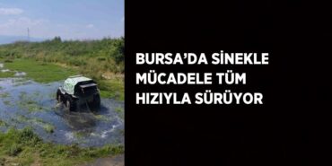 23547218152014229720