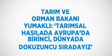 23547305782811627100tasarimli