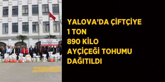 YALOVA’DA ÇİFTÇİYE 1 TON 890 KİLO AYÇİÇEĞİ TOHUMU DAĞITILDI