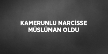 23553212682865630173tasarimli