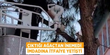23555228152212829923tasarimli