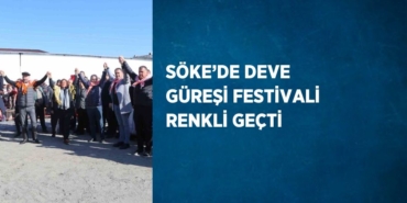 23555244922548628611