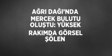 23563243062346929889tasarimli