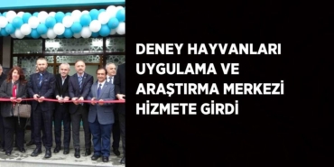 23563260152673026638