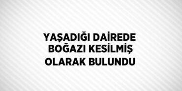 23565294133128521846tasarimli