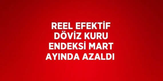 REEL EFEKTİF DÖVİZ KURU ENDEKSİ MART AYINDA AZALDI