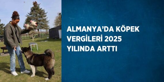 ALMANYA’DA KÖPEK VERGİLERİ 2025 YILINDA ARTTI