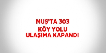 23583225922055027168tasarimli