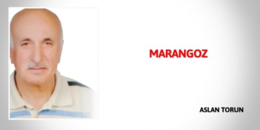 23583265842757025125