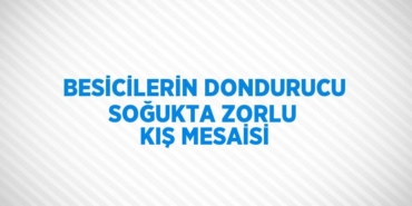 23585204692205423058tasarimli