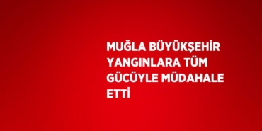 23587212093181629684