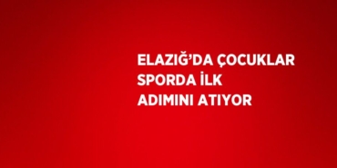 23594250132859427350