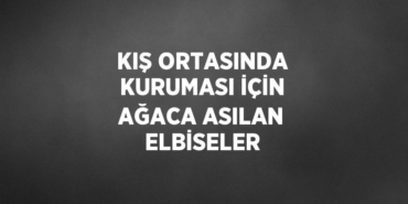 23604319082869621926tasarimli