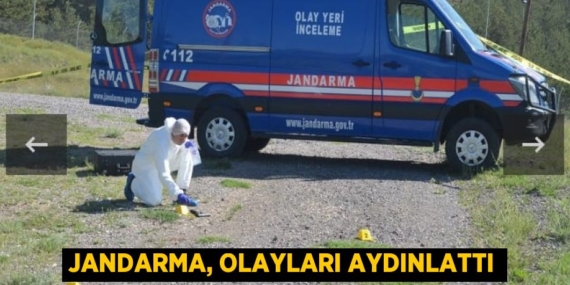 JANDARMA, OLAYLARI AYDINLATTI