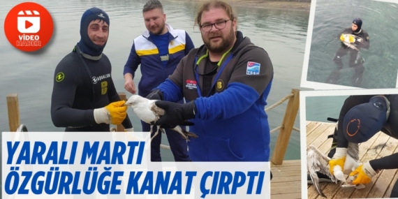 YARALI MARTI ÖZGÜRLÜĞE KANAT ÇIRPTI