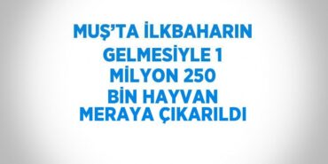 23634263782760828471tasarimli