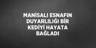 23634305632616120368tasarimli