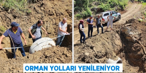 ORMAN YOLLARI YENİLENİYOR